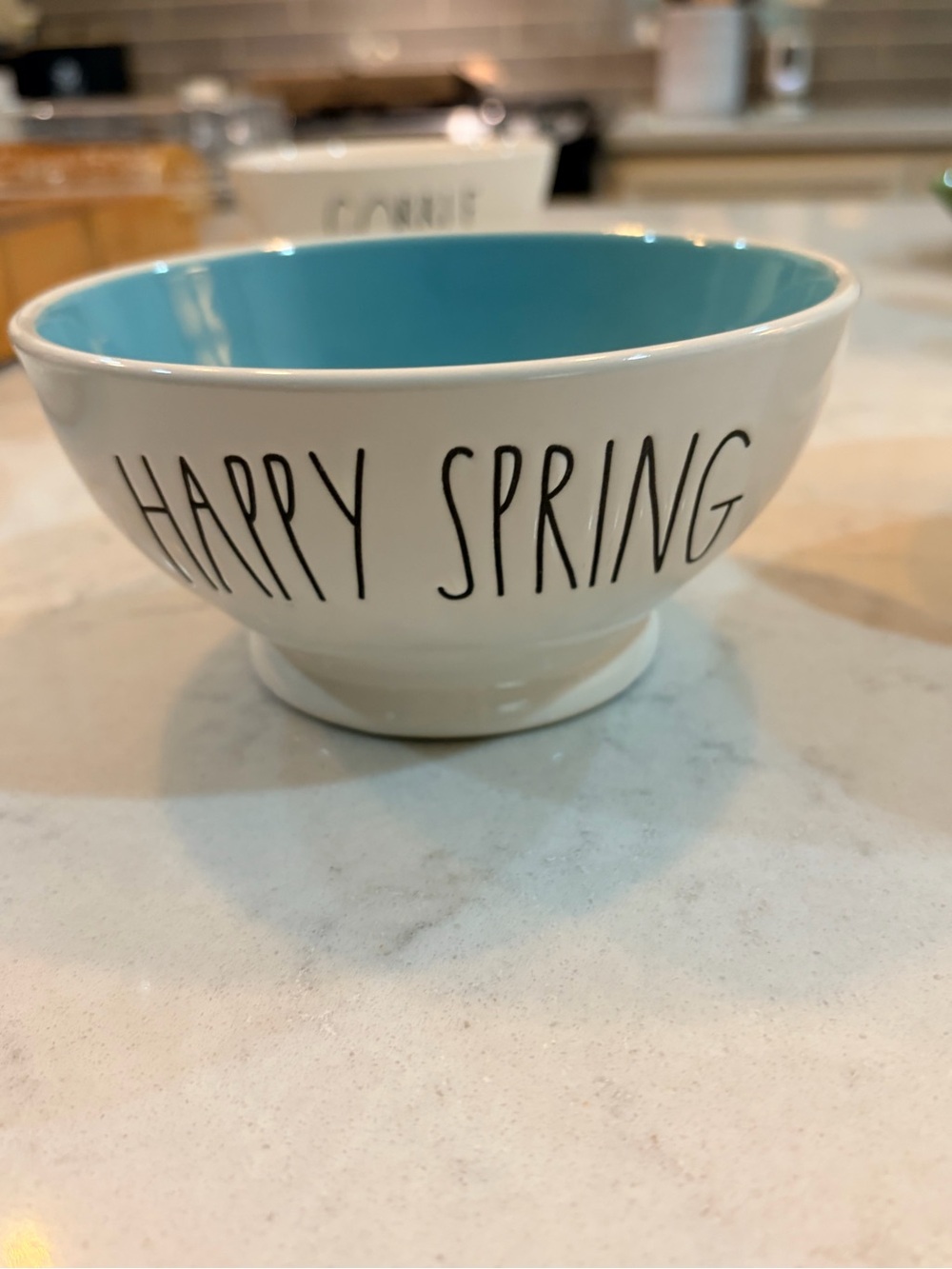 Rae Dunn set of 2 Happy Spring White Bowls with Turquoise Interior